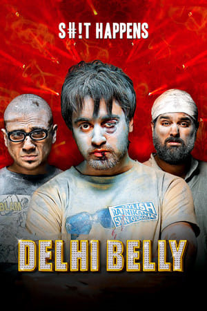 Delhi Belly 2011 Full Movie | Hindi Dubbed Movie DVDRip [300MB]