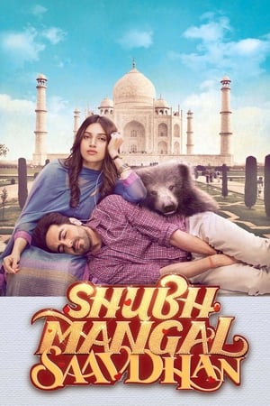Shubh Mangal Saavdhan (2017) 300MB Full Movie | Hindi Dubbed Movie HDRip Download