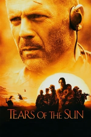 Tears of the Sun 2003 Hindi Dual Audio | Hindi Dubbed Movie BluRay [970MB]