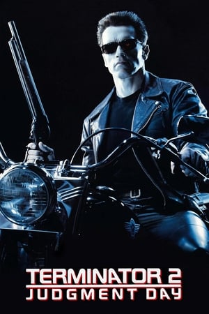 Terminator 2 (1991) Hindi Dual Audio | Hindi Dubbed Movie BluRay [950MB]