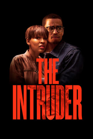 The Intruder (2019) Hindi Dual Audio | Hindi Dubbed Movie HDRip 350MB